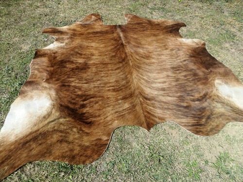 New large brindle brown - brindle,